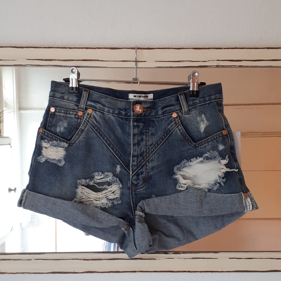 One Teaspoon Hawks Distressed Jeans 